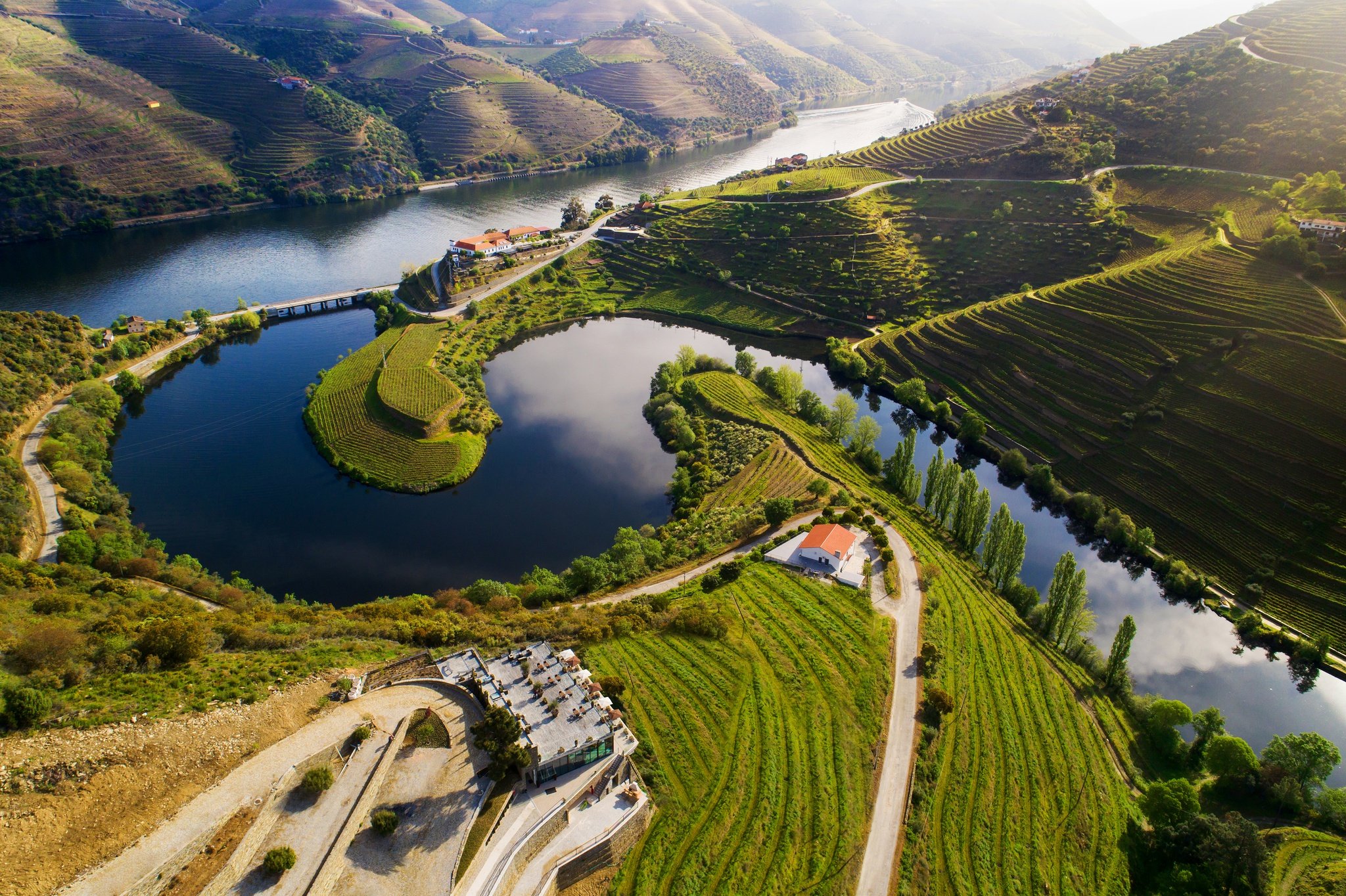 Douro river with vineyards and sweeping views